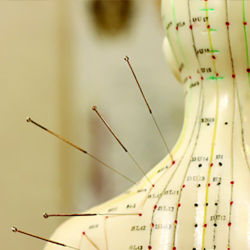 Acupuncture - Ostéopathie - Cabine 1