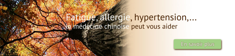 04 Fatigue Allergie Hypertension Medecine Chinoise